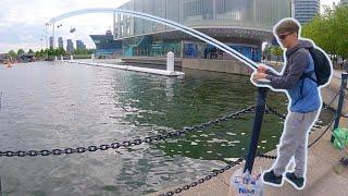 Catching SEABASS from a LONDON DOCK