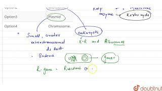 Extrachromosomal DNA ofbacteria is