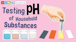 Testing pH of Household Substances #ngscience