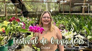 ENCANTO E SURPRESAS SOBRE AS ORQUÍDEAS ​⁠#orquideas #festival