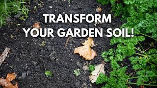 AMEND Your Fall Garden Like THIS For Maximum Soil Success!