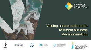 Valuing nature and people to inform business decision-making