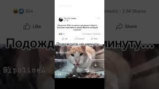 Wait a minute… @monium   #youtubeshorts #cat #memes #shorts #short #шортс #шорты #ютубшортс