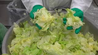 ETRS - Iceberg lettuce 1.5" (38 mm) Chop