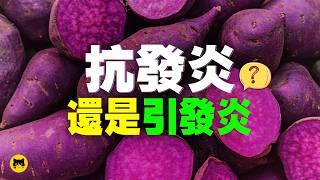 健康能吃抗發炎最好的食物，但是～｜喵一下健康