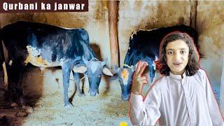 Rameez ka Qurbani | bakra eid | Eid Mubarak