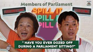 Resident Asked MP to Block the Sun?! (ft. Dr Lee Bee Wah & Mr Louis Ng) | Spill It