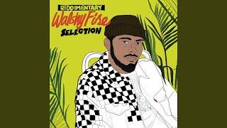 Riddimentary: Walshy Fire (Continuous Mix)