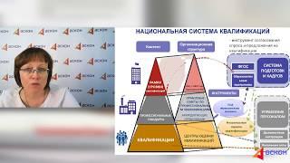 Профстандарты: нормативное регулирование и процедура внедрения