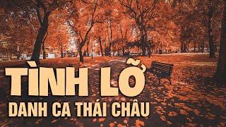 Tình Lỡ | Danh Ca Thái Châu (st: Thanh Bình)