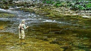 Oliver Edwards Demonstrates Dry Fly Fishing in Fast Flowing Rivers - Learn Fly Fishing (Trailer)