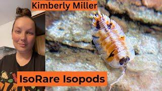 IsoRare Pods!   Rare Isopods!   LIVE, Q&A Chat with Kimberly Miller