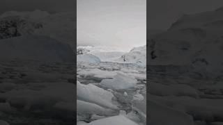 Cruising through the ice in Antarctica!