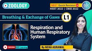 Biology | Breathing and Exchange of Gases PART-1 | NEET | B2E Learning