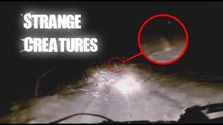 8 Freaky Strange Creatures Caught on Video (Mr. Nightmare reupload)