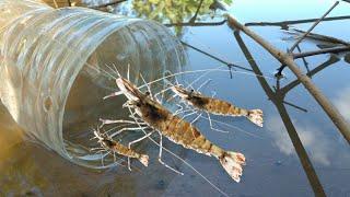 Shrimp traps from a water bottles. in the river in laos | Phubowbanna