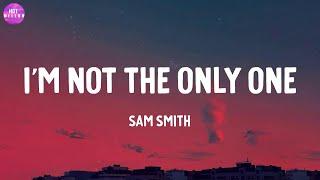 I'm Not The Only One - Sam Smith / Only Love Can Hurt Like This, Love Someone,...(Mix)