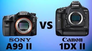 Sony A99 II vs Canon 1DX Mark II