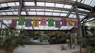 Pantropica