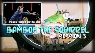 PESCA a ITALIA'S GOT TALENT 2022 | BAMBOO session 3