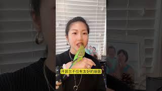 如何通过3种自然的方法获取有益肠道健康的益生菌？