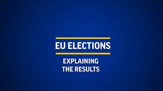 AP's Raf Casert: EU poll results turned out to be "spectacular"