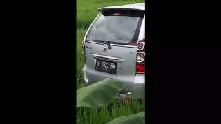 Kejadian Aneh, Mobil Masuk Sawah Tanpa Ada Jejak Ban