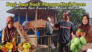 Eps 45 Renov DAPUR KESAYANGAN !! Bagi-bagi Buah Mangga Hasil Panen