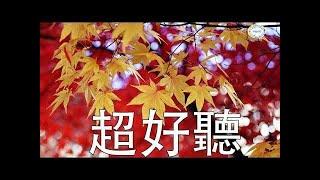 非常好聽��#早上最適合聽的輕音樂 放鬆解壓-抒情鋼琴曲 鋼琴曲- 純鋼琴輕音樂- 美妙的音樂 Relaxing Piano Music