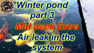 Diy koi pond cover keeping the water as warm as you can without heating cover your pond