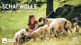 Schafwolle - Hightech aus dem Hochgebirge | Bergfreunde x Ortovox