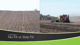 No-Till vs Strip-Till