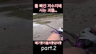 뭐가 됬든 무조건 6짜는 넘을듯#낚시 #런커 #배스낚시 #fishing #배스 #bass #bassfishing #저수지 #루어낚시 #민물낚시 #대구배스