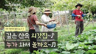 영월 농가에서 보내는 특별한 시간!  농가민박 + 우프 WWOOF | 2021 ON-대지의 밥상 ep. 3-3