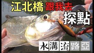 【水溝流路亞 30】汐止江北橋 - 跟我去探點 |fishing Asia Taiwan | 台北釣魚 | 台北釣點