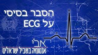 סרטון הסבר בסיסי על אק"ג/ECG/EKG