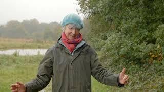 Natural Flood Management in Newfield Spring Wood, Moss Valley