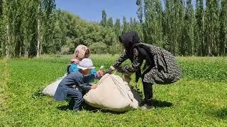 Daily Routine Village life in Afghanistan| Rural Life Of Afghan Women In a Remot Village Jaghori