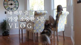 [ENG] 미국일상 / 하루 5분의 투자 / 무반죽 5분빵 / 바게트 / 시골빵/ 치즈핫도그 꽈배기 / 갱년기 마음정화의 시간 / 소중한 5분이 모여서 만드는 하루 /VLOG