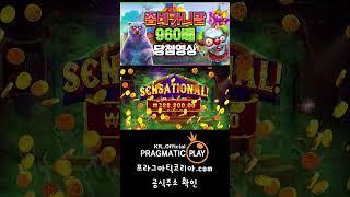 [프라그마틱 슬롯] 좀비카니발-Zombie Carnival 960배 당첨 영상 #잭팟 #jackpot #slot #slotmachine #슬롯생방송 #슬롯사이트 #인기슬롯