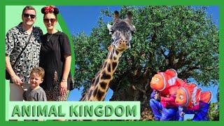 Disney's Animal Kingdom 2024 | Shows, Rides & Animals | Eating at Perkins & Chilis