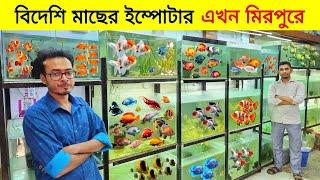 Aquarium Price In Bangladesh Aquarium Fish Price In BD  Aquarium Fish Wholesale Price In Mirpur