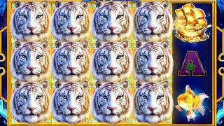Water Tiger Big Win - (Endorphina)