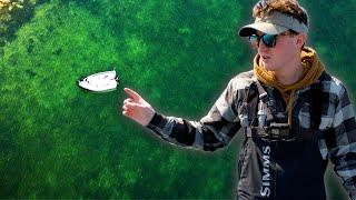 Can I Catch A Bass The Day The Ice Is Out? (Crystal Clear Water)