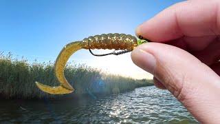 This WEEDLESS Soft Plastic Rigging HACK Catches Trophy Fish !!