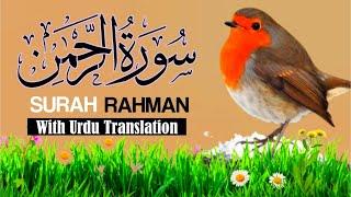 SURAH RAHMAN TARJUMA K SATH | BY QARI Al SHAIKH MUHAMMADI | QURAN TILAWAT BEAUTIFUL VOICE 