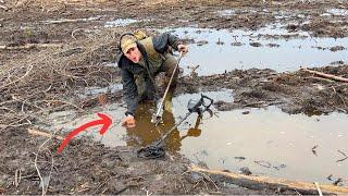 Flooded Forest Reveals Treasures Buried Underwater (nugget noggin)