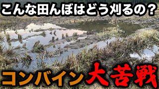 湿田！あなたならどう刈り取りますか？さぁ、みんなで考えよう！(RICE IS COMEDY®︎)