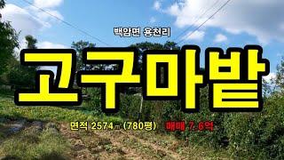 용인 백암면 용천리 자연취락지구 토지 2574㎡(780평) 매매  #삼융공인중개사