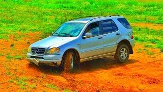Mercedes WOOD PILE!